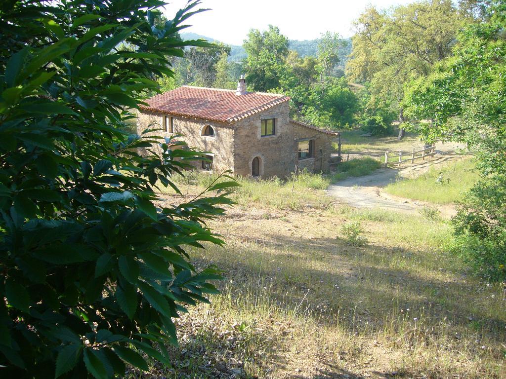 Casas El Alamillo- El Castanero Guest House Galaroza Bagian luar foto